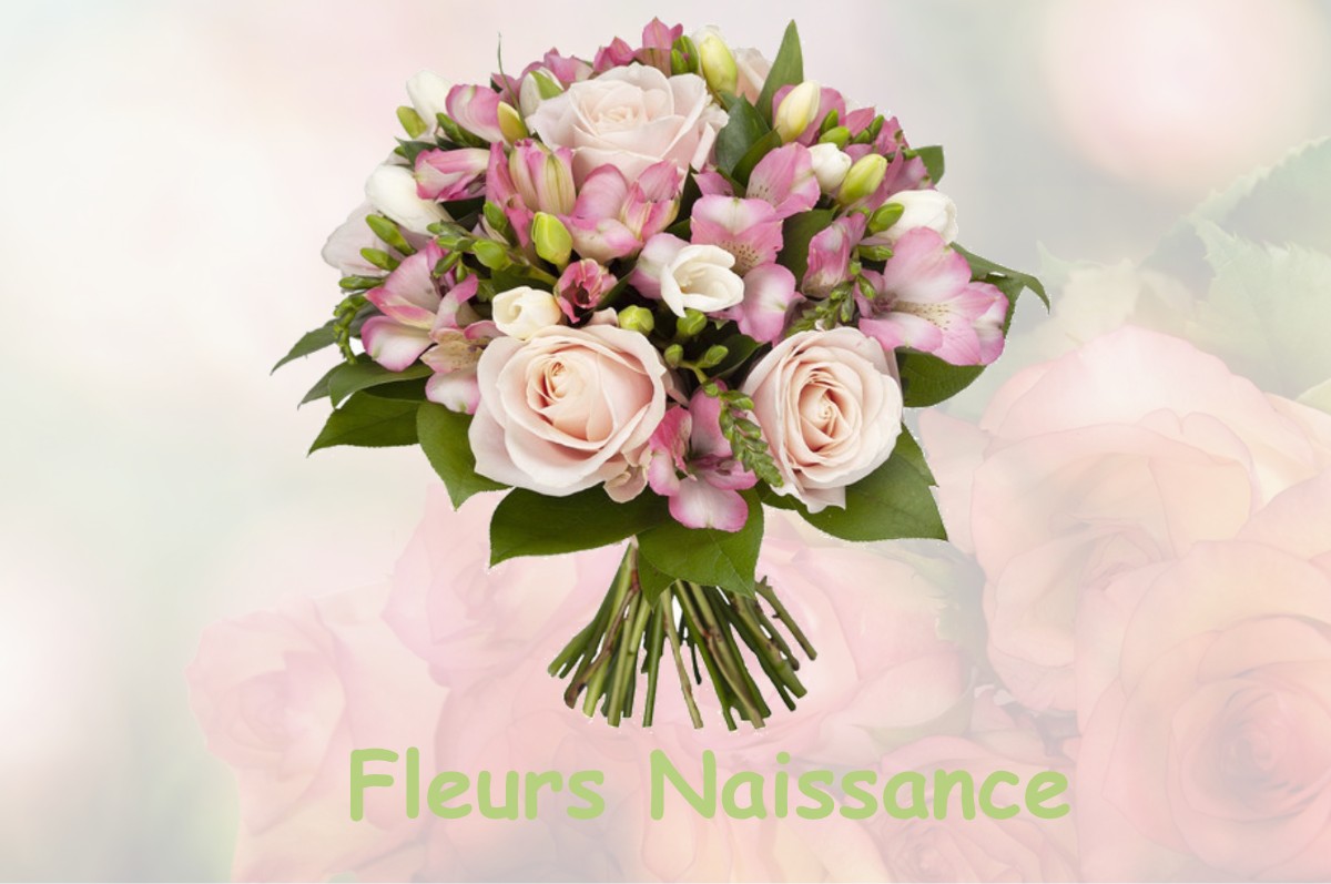 fleurs naissance JARGEAU