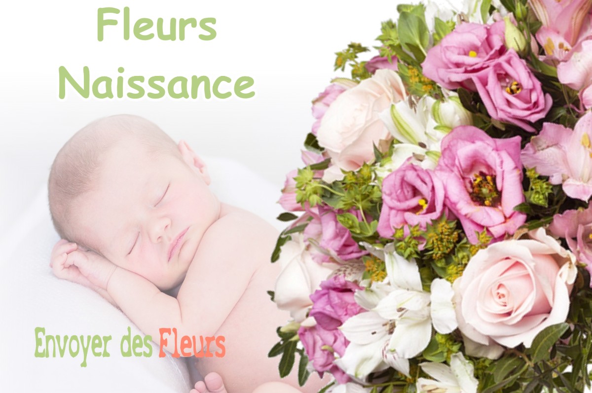 lIVRAISON FLEURS NAISSANCE à JARGEAU